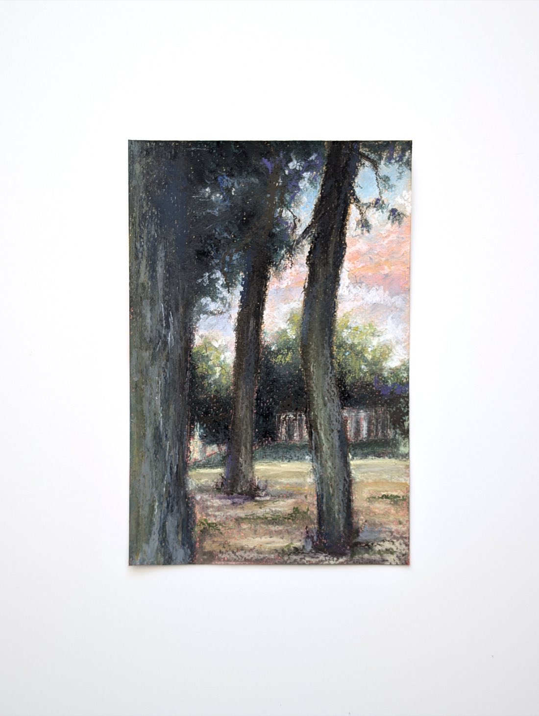 Three Trees – Oil pastel on paper – painting by Eduard Warkentin